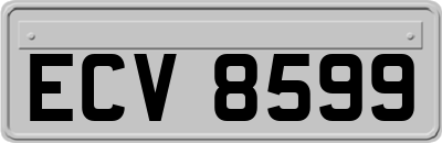 ECV8599