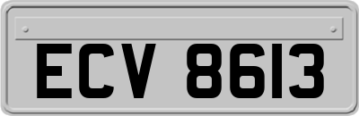 ECV8613