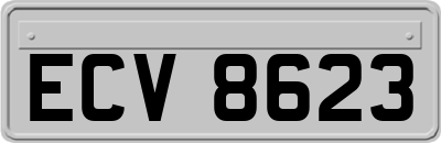 ECV8623