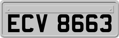 ECV8663