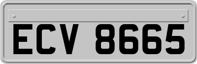 ECV8665