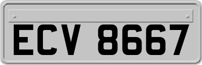 ECV8667