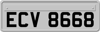 ECV8668