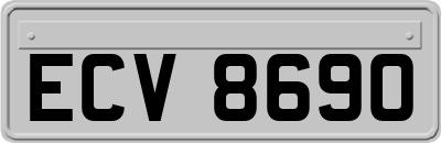 ECV8690