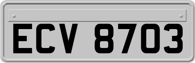 ECV8703