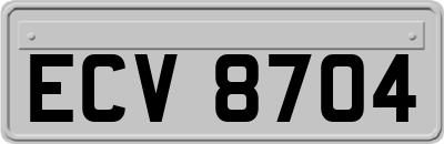 ECV8704