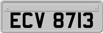 ECV8713
