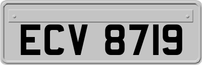 ECV8719