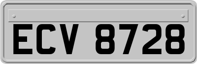 ECV8728