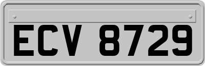 ECV8729