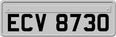 ECV8730
