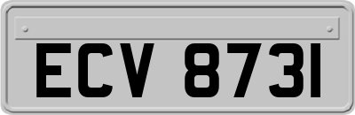 ECV8731
