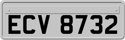ECV8732