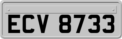 ECV8733