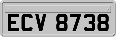 ECV8738