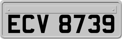 ECV8739