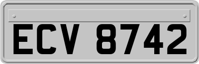 ECV8742