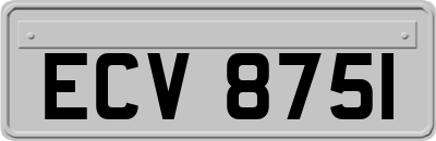 ECV8751