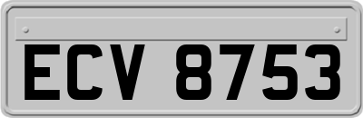 ECV8753