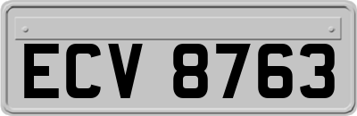 ECV8763
