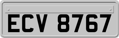 ECV8767