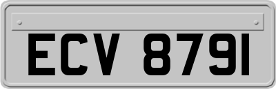 ECV8791