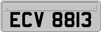 ECV8813