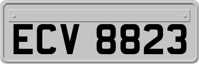 ECV8823