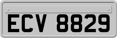 ECV8829