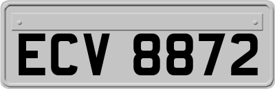 ECV8872