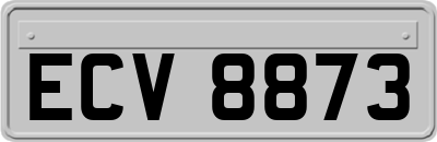ECV8873
