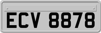 ECV8878