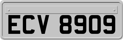 ECV8909