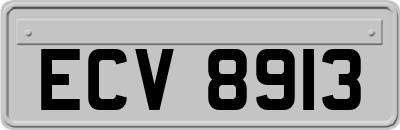 ECV8913