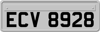 ECV8928