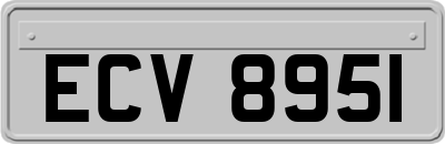 ECV8951