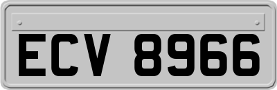 ECV8966