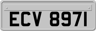 ECV8971