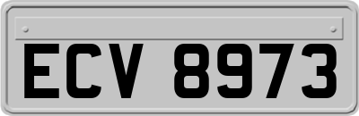 ECV8973