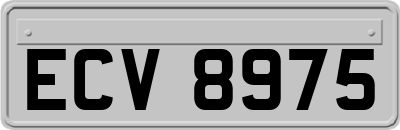ECV8975