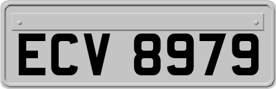 ECV8979