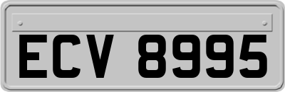 ECV8995