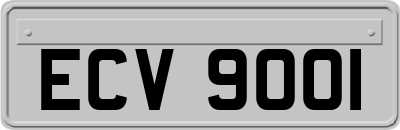 ECV9001