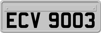 ECV9003