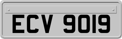 ECV9019