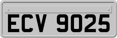 ECV9025