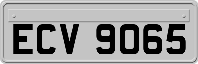 ECV9065