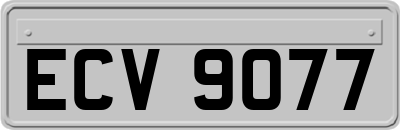 ECV9077