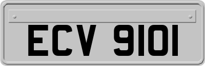 ECV9101