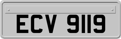 ECV9119